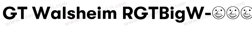 GT Walsheim RGTBigW字体转换